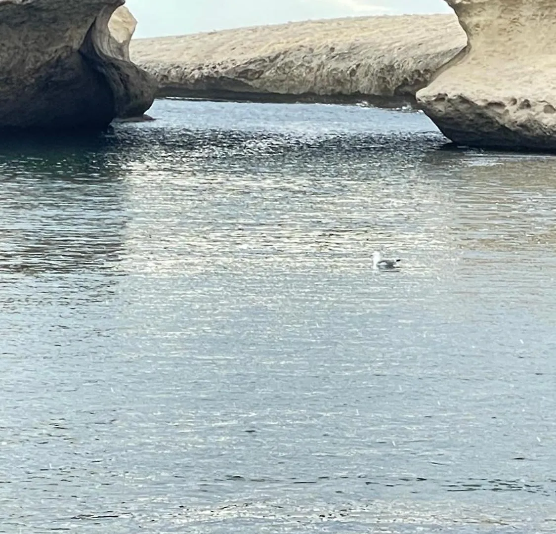 40° Parallelo Riola Sardo