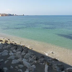 Tulipano Rosso , Trapani Italia